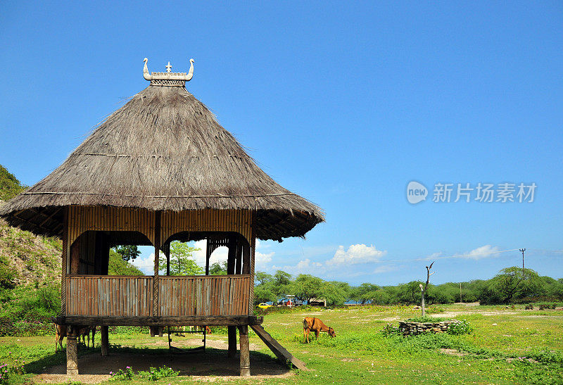 “uma fukun”，东帝汶Aipelo传统的神圣仪式屋